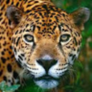 Meet your Posher, Kjersten